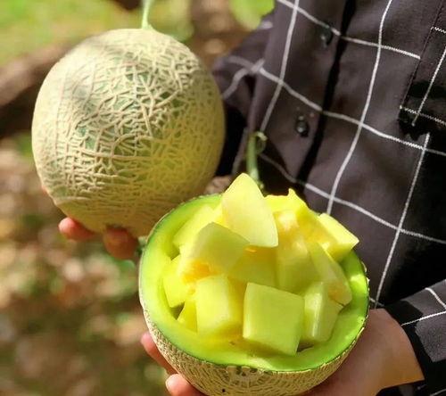 娱乐圈吃瓜名称,那些年我们追过的明星八卦大揭秘