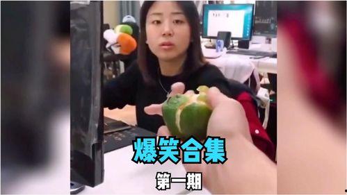 娱乐吃瓜喵姐视频大全,盘点热门视频，揭秘娱乐圈幕后故事